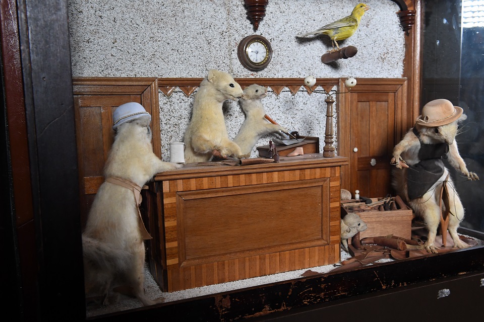 Ypu are hoveing over an image linked to Walter Potter taxidermy
