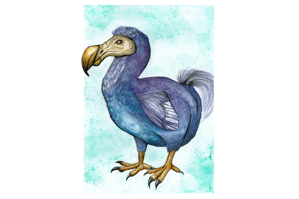 image link to The Dodo page.