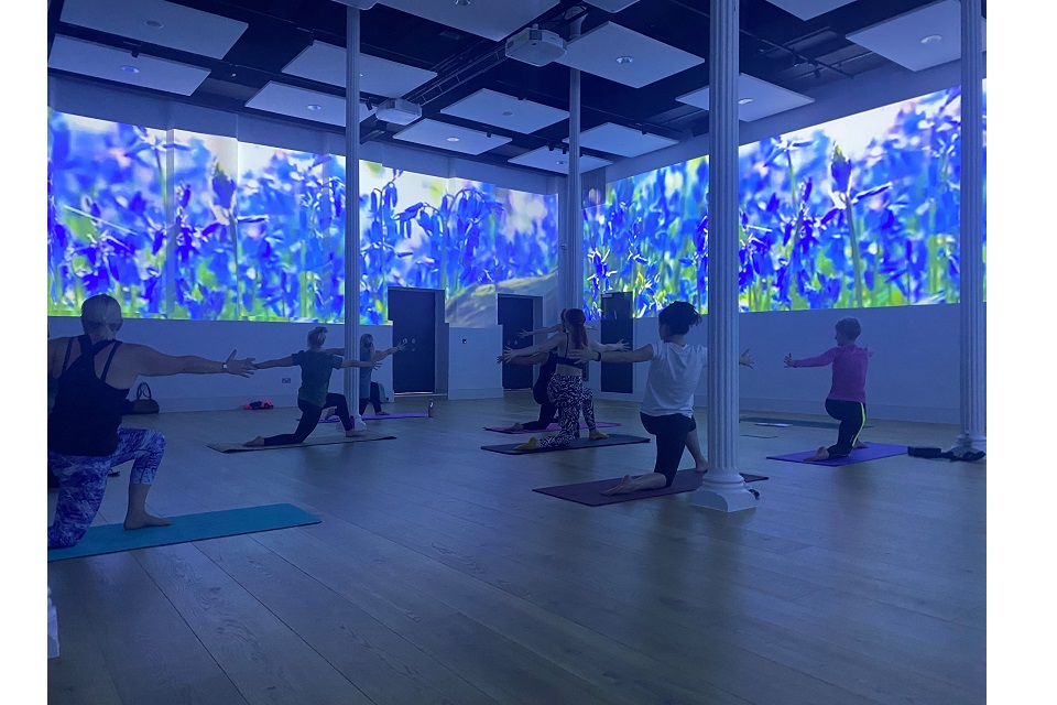 People in a muted room in yoga pose.
