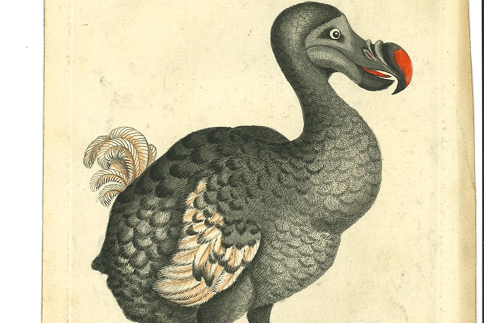 image link to Extinction page.