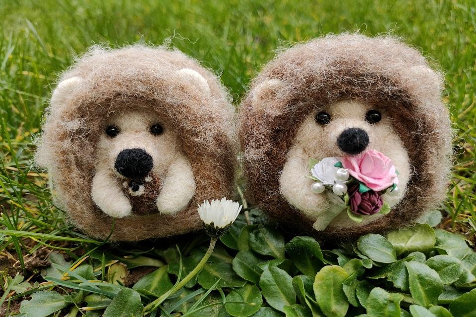 Two soft brown with black noses and white faces felted hedghogs against a green grass background.hedgehogs against a green background