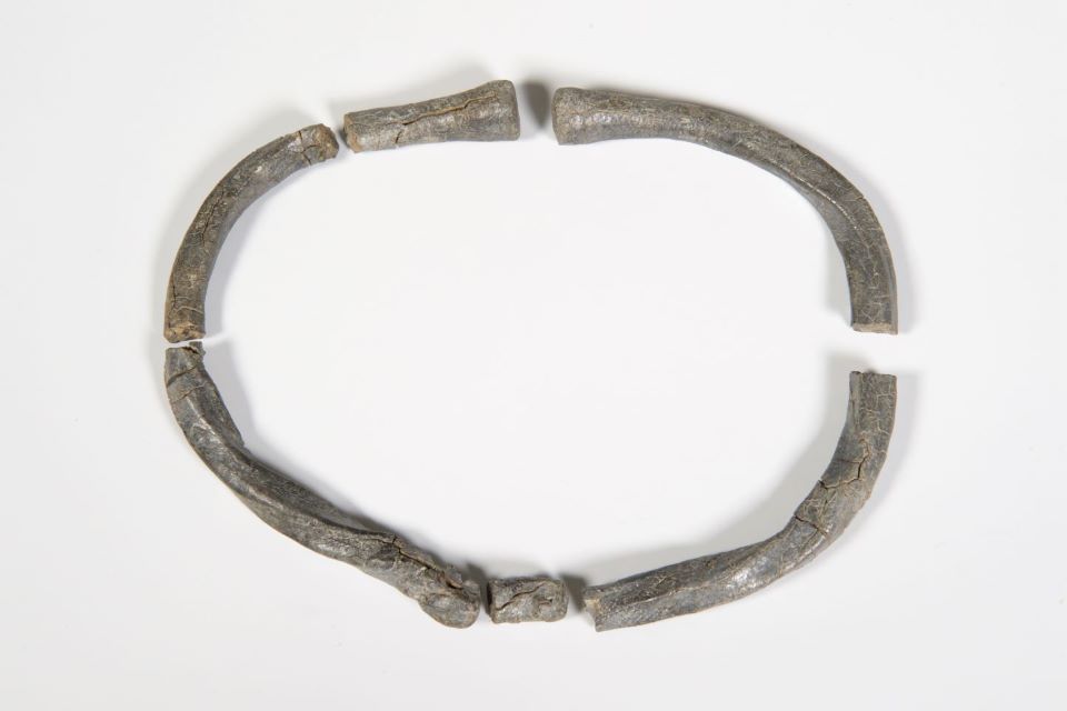 Ypu are hoveing over an image linked to Torc neck ring