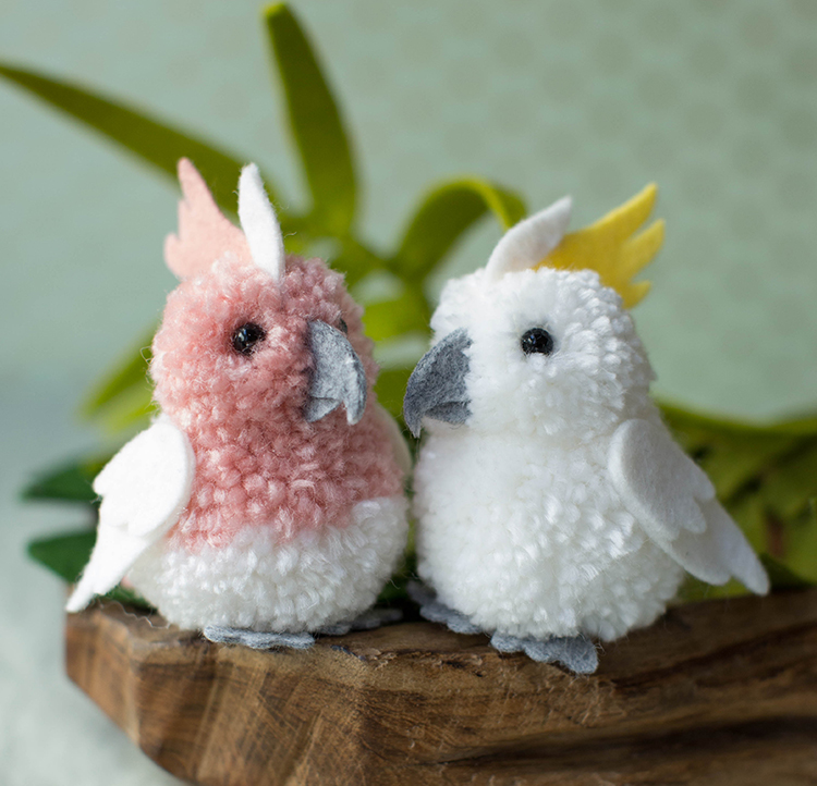 APM pom poms