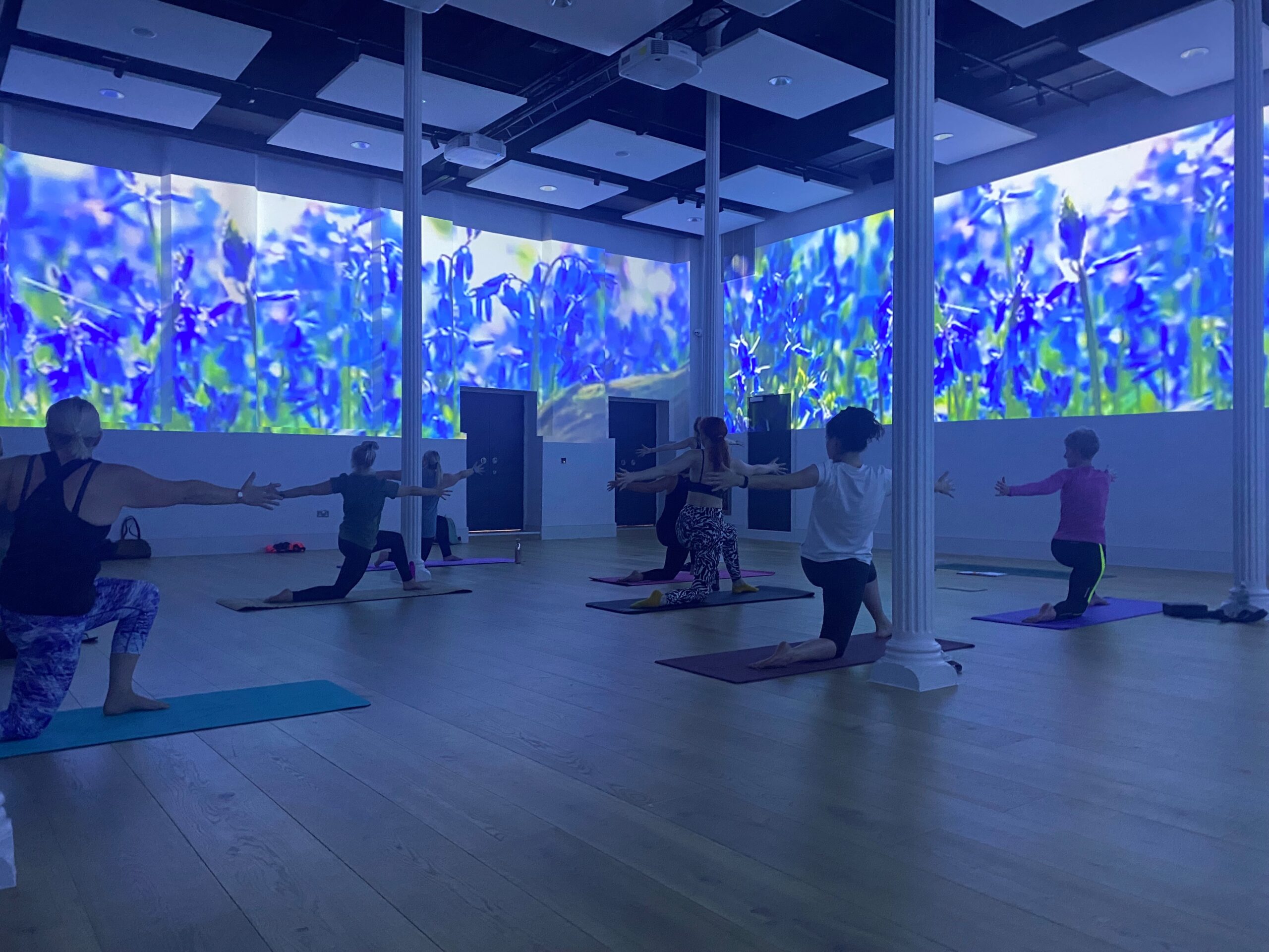 Room with images of flowers on the walls and people in yoga pose