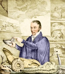 HH fossils Historical illustration of a naturalist examining fossils and shells.
