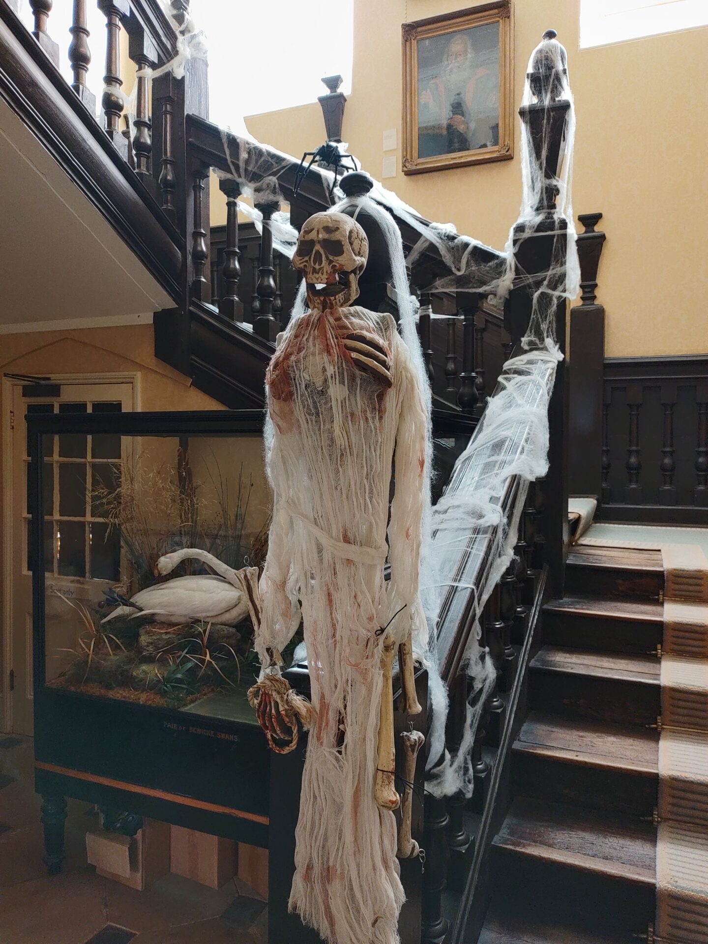 IMG_20211030_114853 Halloween skeleton decoration draped in cobwebs on a museum staircase.